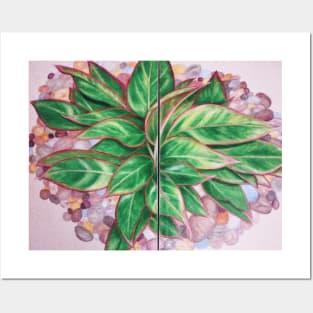 Chinese Evergreen Posters and Art